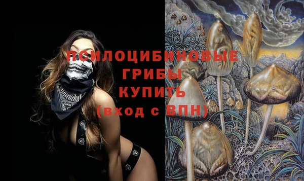 jwh Богородск