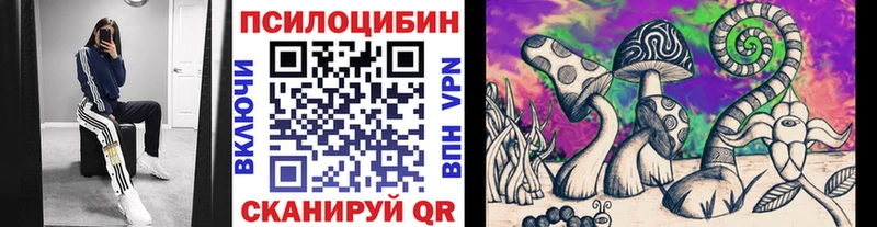 цена   Астрахань  Галлюциногенные грибы Cubensis 